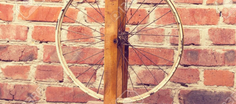 Integer quis ligula ipsum sit amet scelerisque