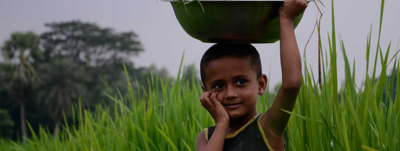 Curabitur ac neque at arcu