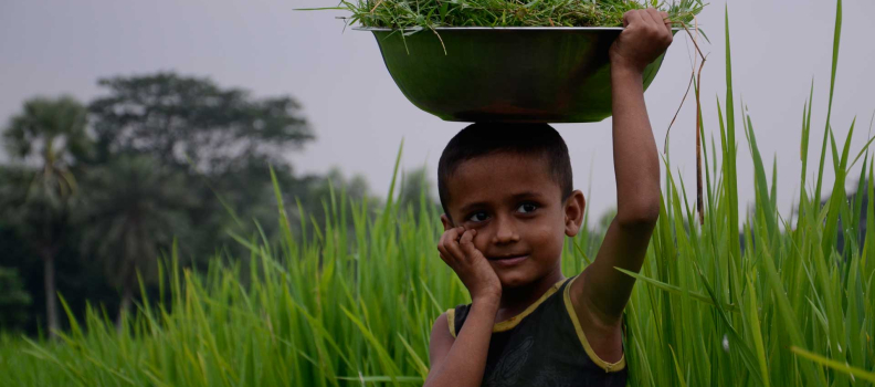 Curabitur ac neque at arcu