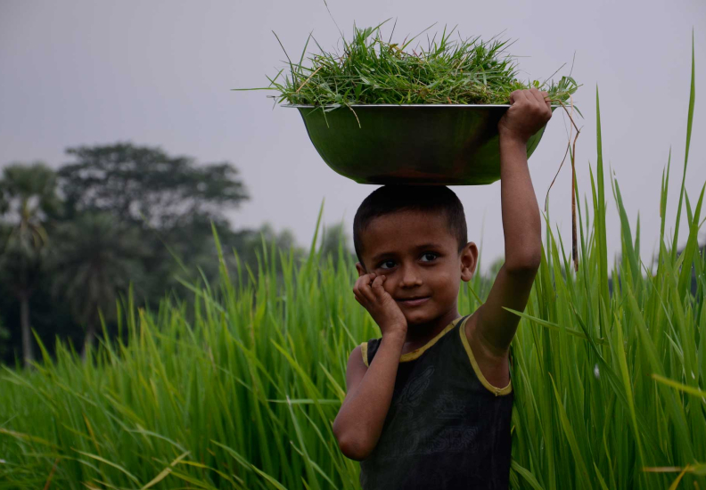 Curabitur ac neque at arcu