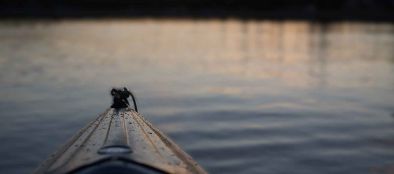 Proin vel mauris diam