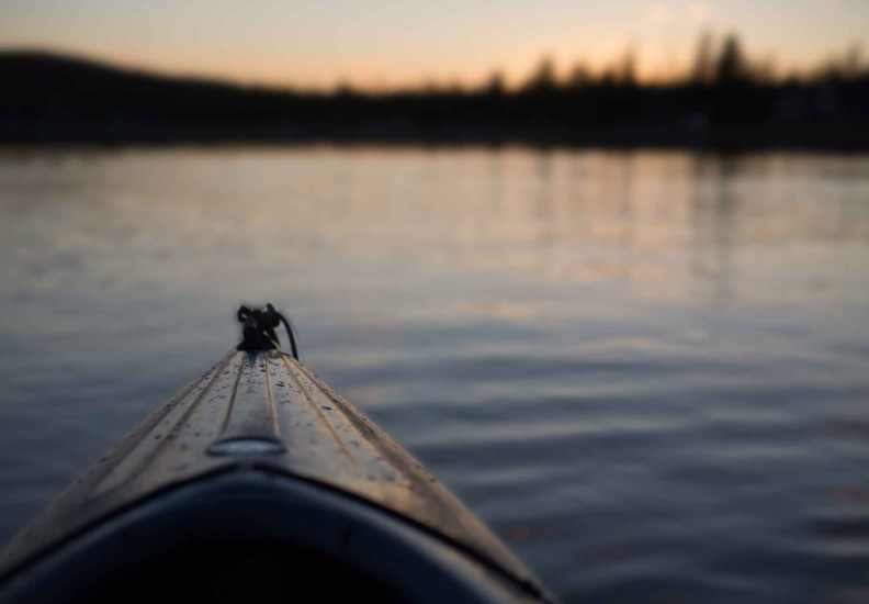 Proin vel mauris diam